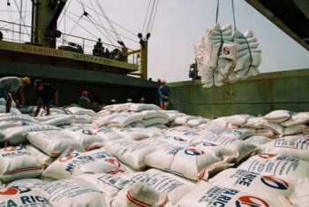 vietnamese agro forestry fisheries trade surplus reached us 62 billion