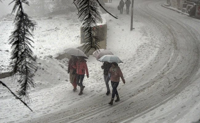 india daily weather forecast latest january 26 capital region braces for cold day conditions with dense fog