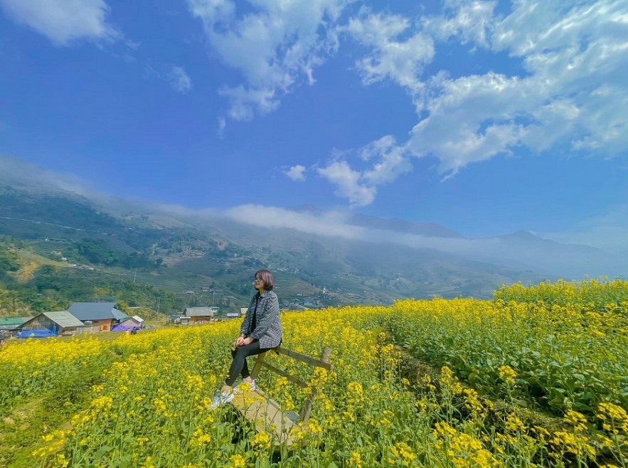 Blooming Yellow Canola Flowers In Sapa Enthral Visitors. Photo: petrotimes.vn.