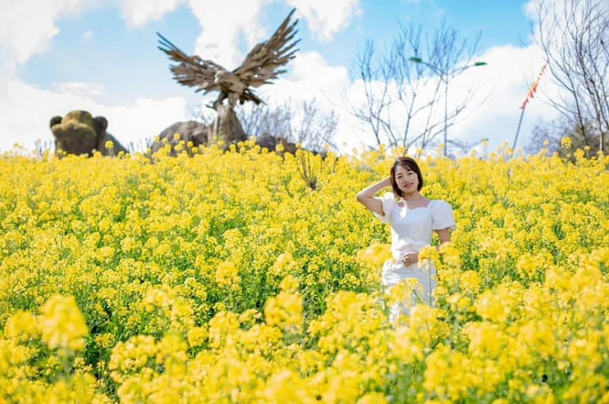 Blooming Yellow Canola Flowers In Sapa Enthral Visitors. Photo: petrotimes.vn.