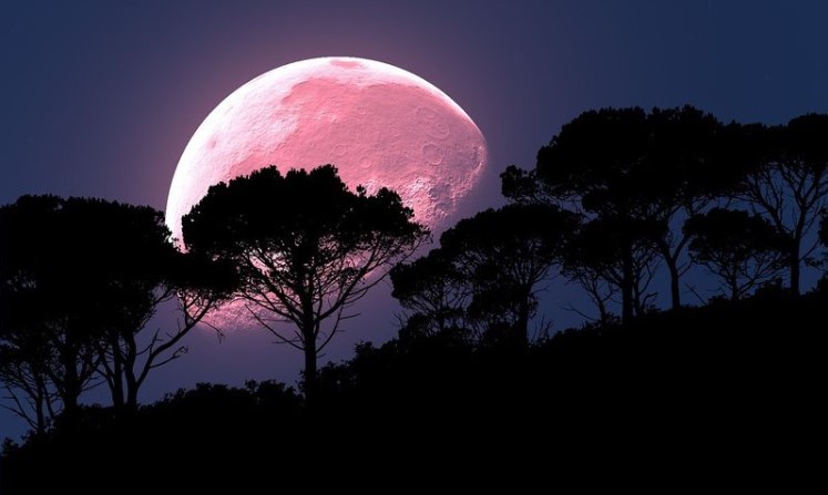 April "Pink Moon": All Things You Need To Know
