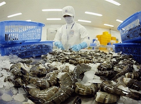 vietnam shrimp exports head to increase in may amid covid 19 pandemic