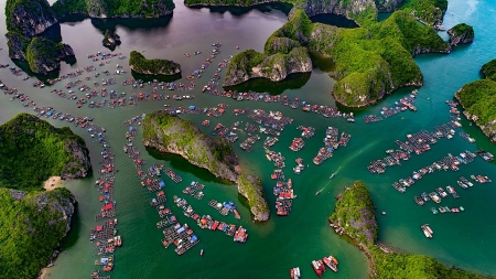 Here are 10 things no one tell you about Lan Ha Bay - a masterpiece of Vietnam's nature