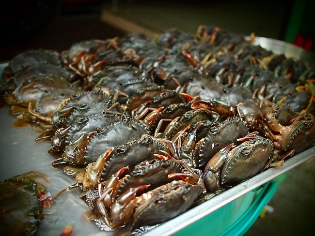 China increases crab purchase from Vietnam in  first four months 2020