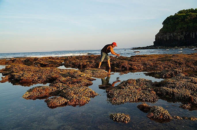absorbing beautiful masterpieces of coral reefs in ganh yen quang ngai province