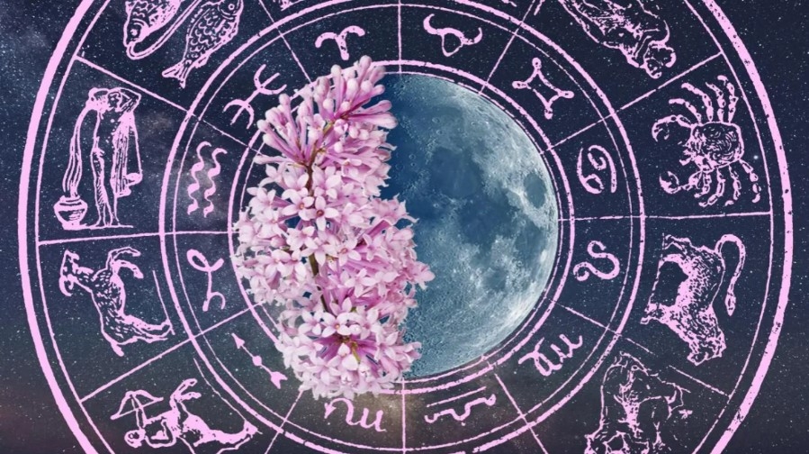 daily horoscope june 12 astrological prediction for zodiac signs with love money career and health