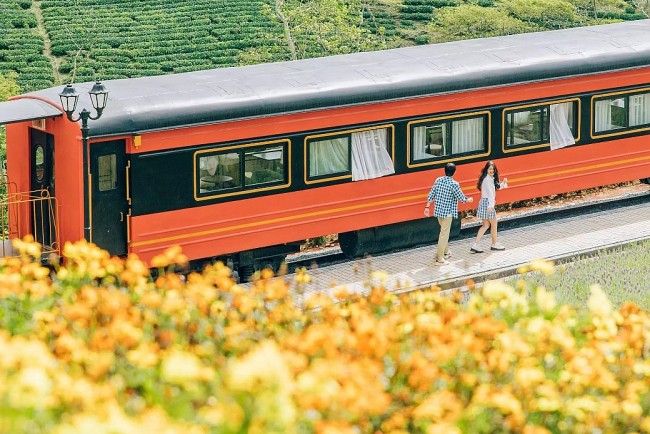 Tourists Fascinated about Red Train Lost In Da Lat Flower Field