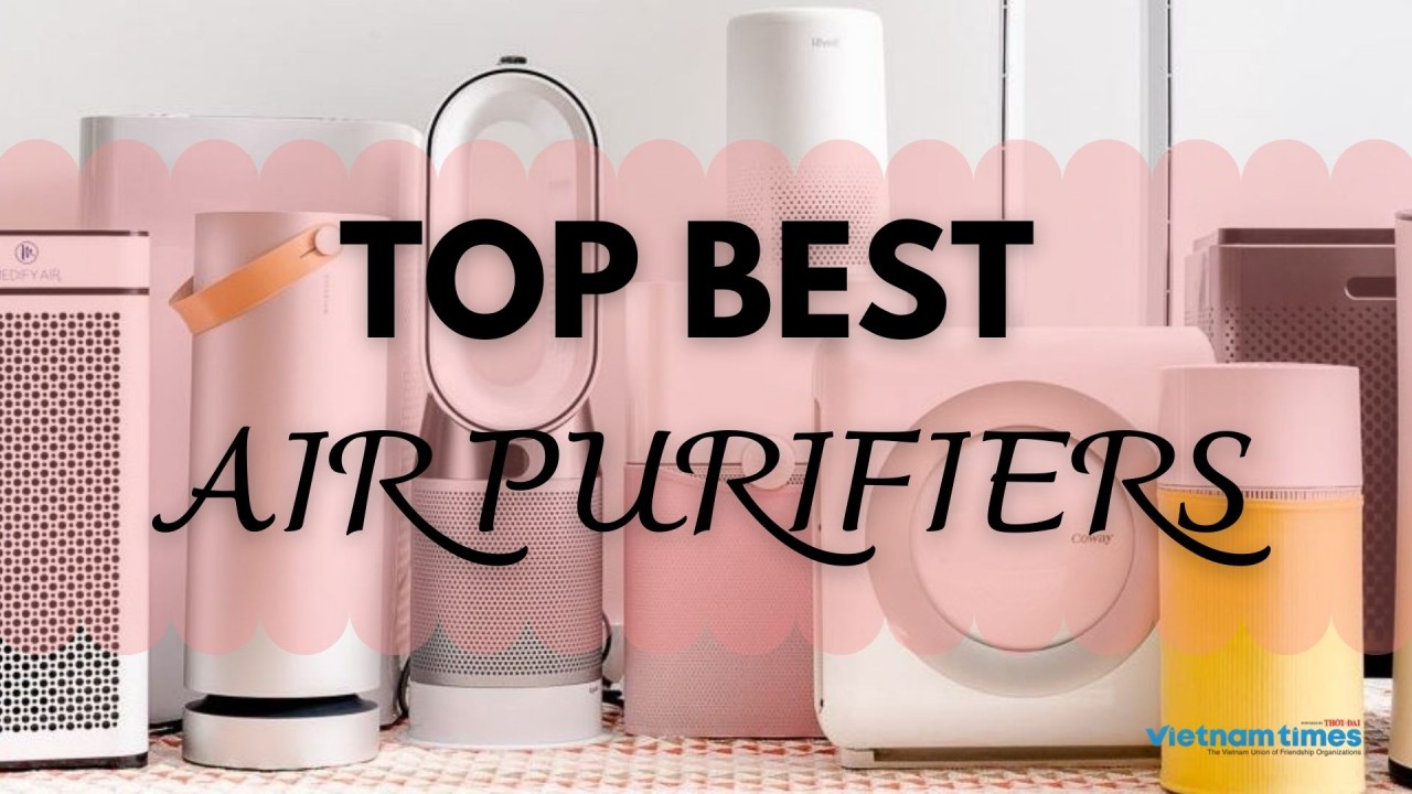 top 5 best air purifiers