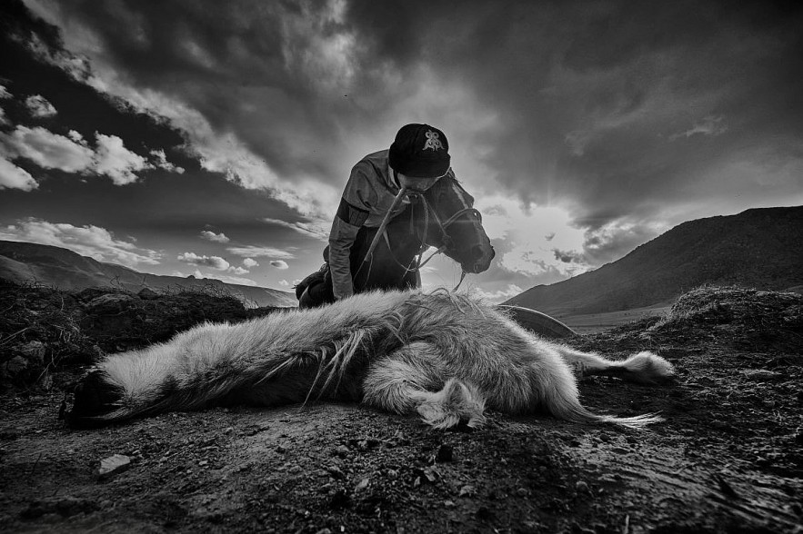 AAP Magazine #20 TRAVELS Winners: Vietnamese Photographer Receives Honorable Mentions