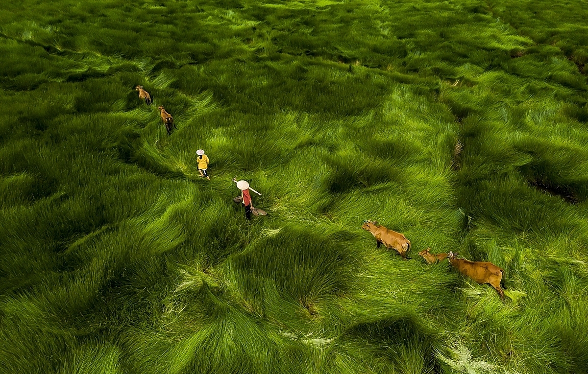 drone shots taken in vietnam stun the world at the drone photo awards 2020