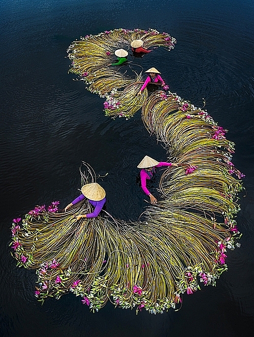 Drone shots taken in vietnam stun the world at drone photo awards 2020
