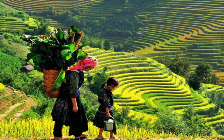 Integrating Local Cultural Values ​Into Tourism Activities