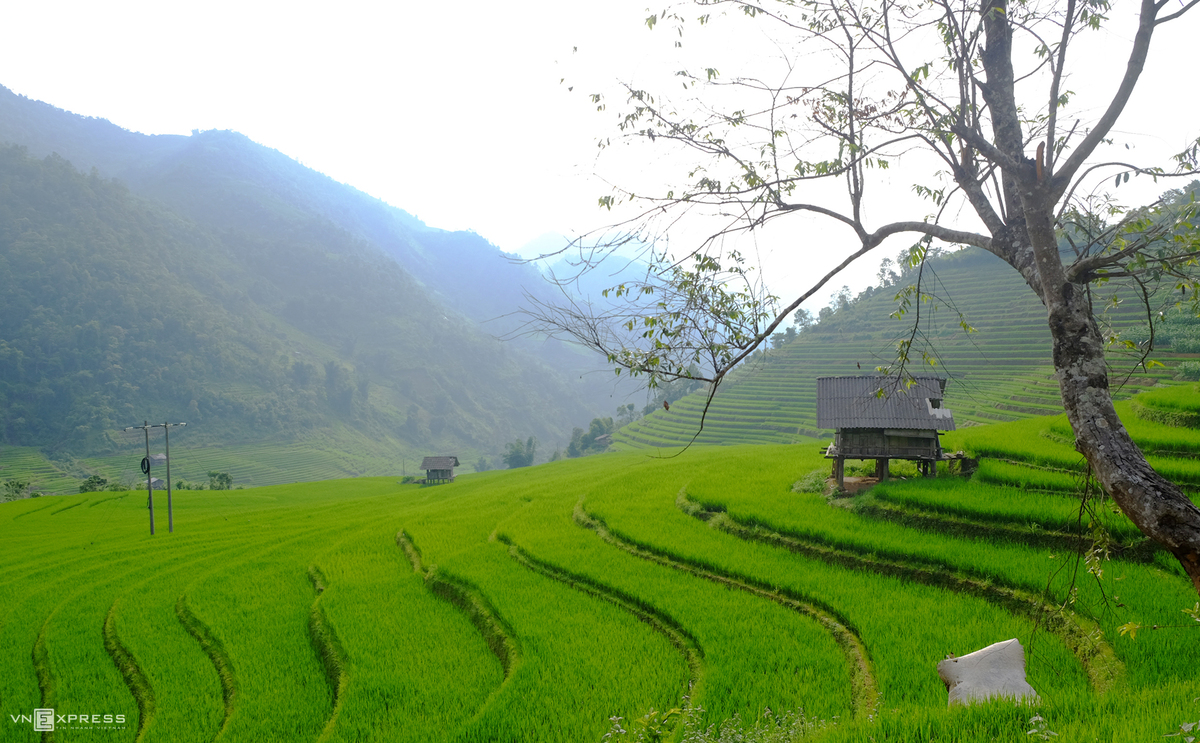 Nam Cang - among Sapa's amazing hidden forest