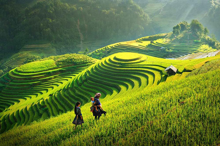 Top Vietnam Destinations: The reason why Sa Pa and Ninh Binh named among most attractive destinations in Asia