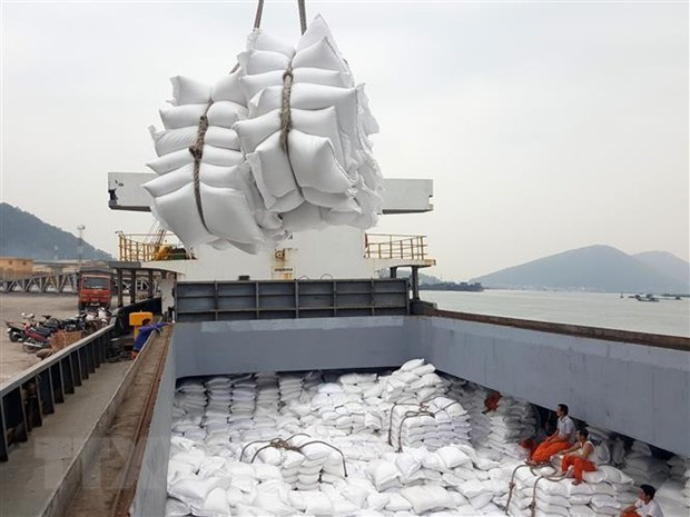 Asian rice market: Vietnam pushes the peak of export price