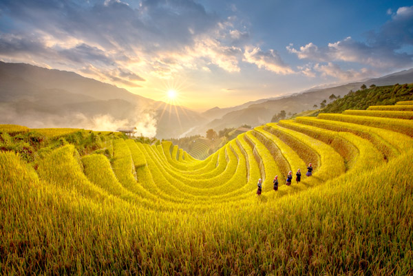 Yen Bai warms up Mu Cang Chai Terraced Field Festival