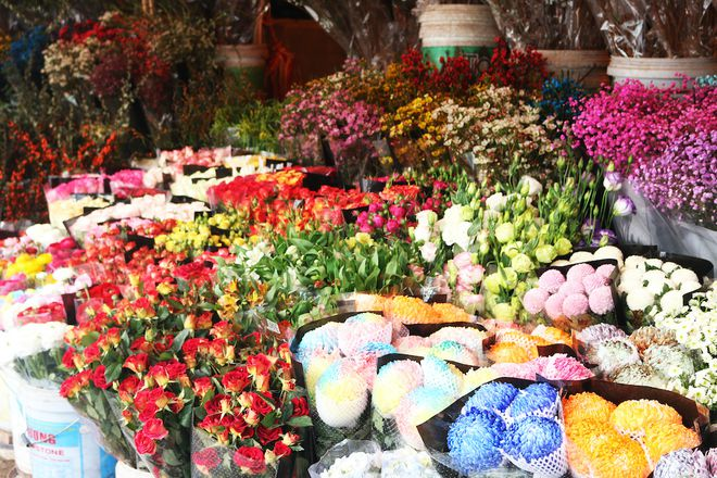 hanois largest flower market opens all nights before tet