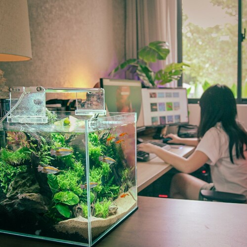 fishyhub singapore blazes the trail in aquarium e commerce with newly launched social platform
