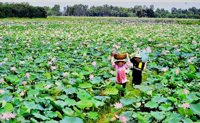 Embassy of Bulgaria funds a Vietnamese project of Lotus, an opportunity for rural women's development