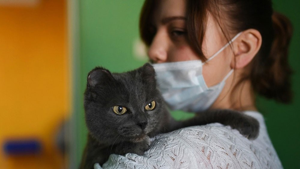 Covid-19 Patients Warn of Pets And How To Care Your Pets During Pandemic