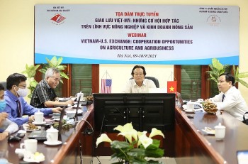 Vietnamese, American Companies Discuss Agribusiness Cooperation Online