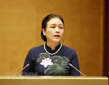 People-to-people Diplomacy To Play Its Unique Role As A Pillar of The Comprehensive and Modern Vietnamese Foreign Policy