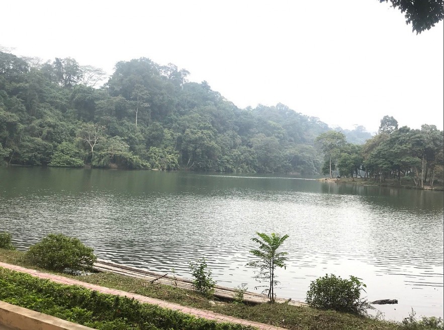 Explore Tuyen Quang: Staging a Revolution Under the Shade of a Banyan Tree