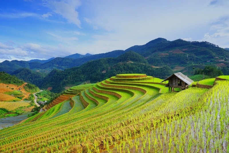 vietnam attracts international agricultural technology companies