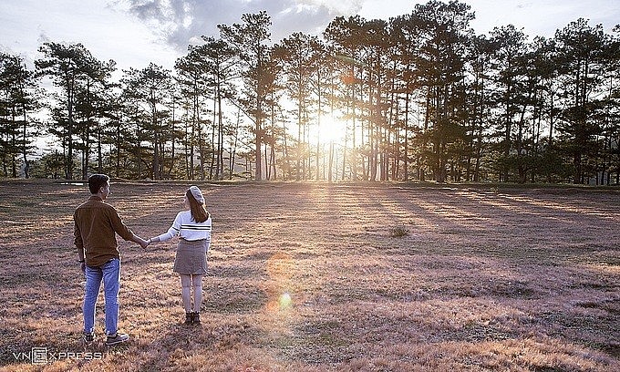 A couple walk on a pink grass hill in Da Lat, 2021. Photo: VnExpress