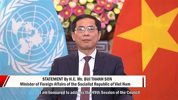 Minister of Foreign Affairs Bui Thanh Son. Photo: VNA
