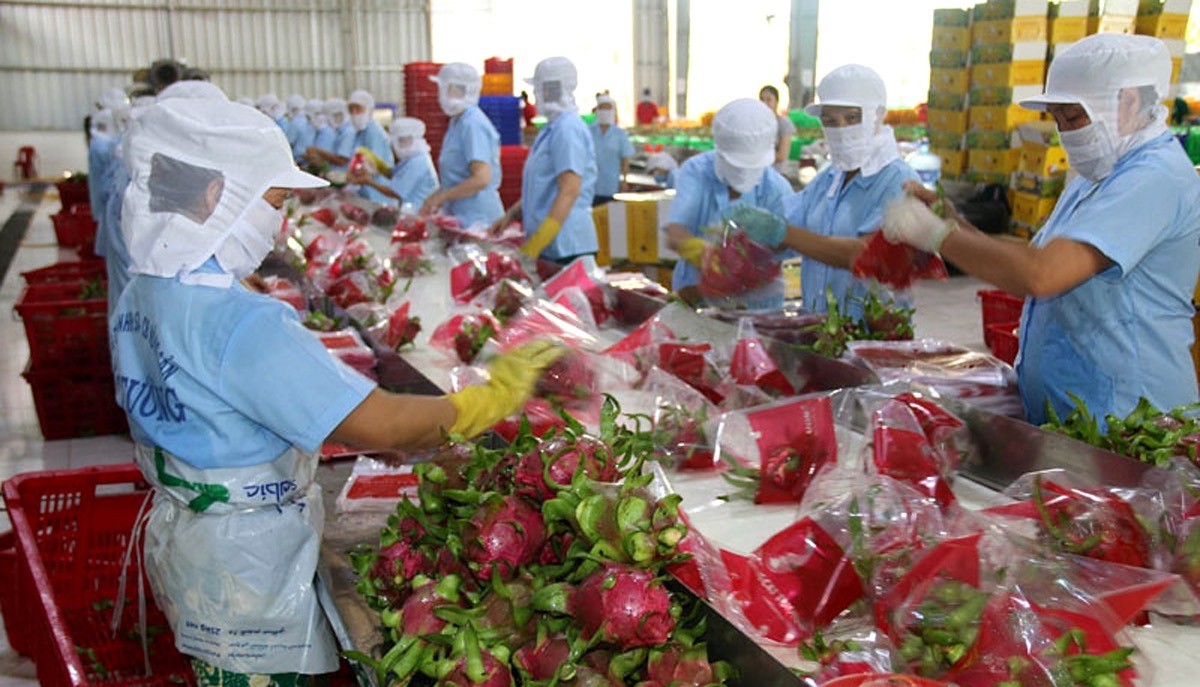 vietnam news today mar 21 vietnam enjoys us 48bln in trade surplus with uk