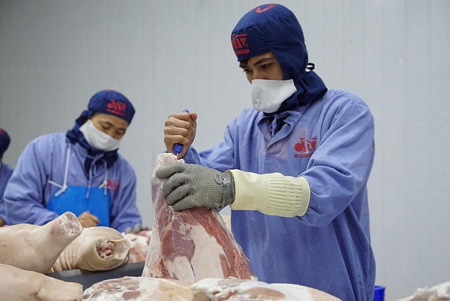Vietnamese enterprises advised to export pigs to Cambodia