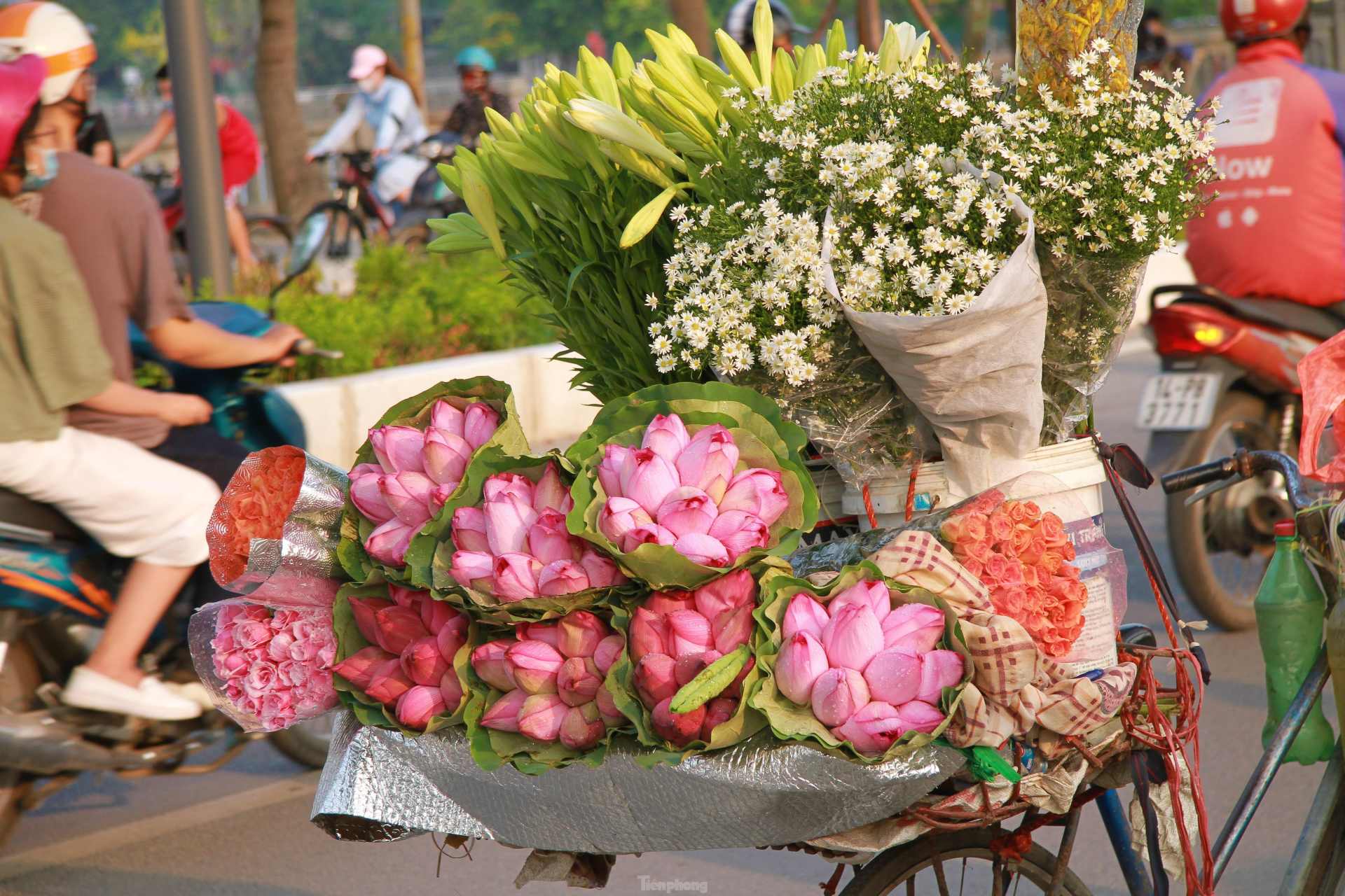 In photo: The vibrant colors of lotus blossom on Hanoi streets