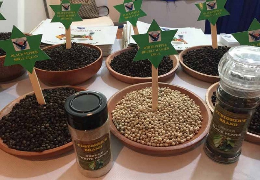The share of Vietnamese pepper exports to the EU increase from 20.21% in the first quarter of 2021 to 28.08% in the first quarter of this year. Photo: VOV