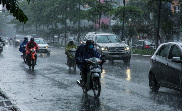 vietnam news today may 31 heavy rains forecast to continue in northern localities