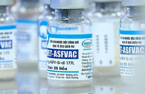NAVET-ASFVAC is manufactured by the Navetco National Veterinary Joint Stock Company (NAVETCO). Photo: VNA