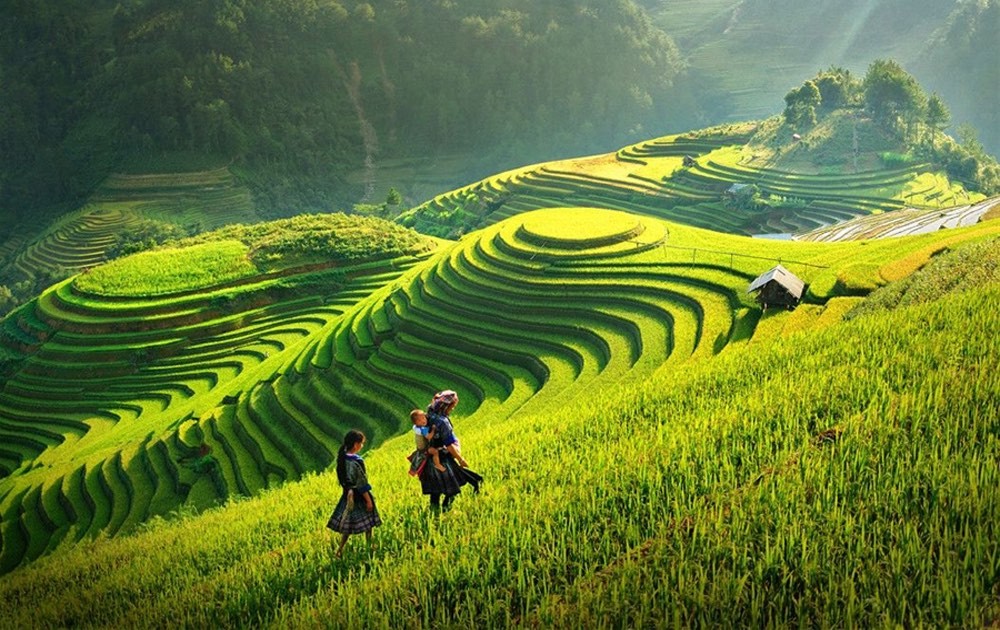 vietnam news today jun 7 vietnam nominated in 10 categories at world travel awards 2022