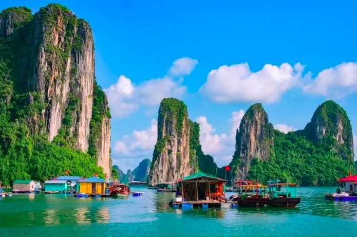 vietnam rok foster mice tourism after covid 19