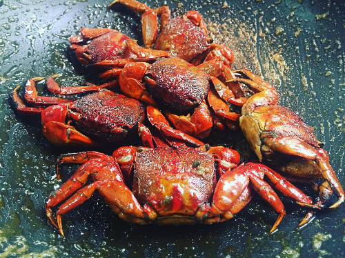 making salted ba khia a ca mau tradition video