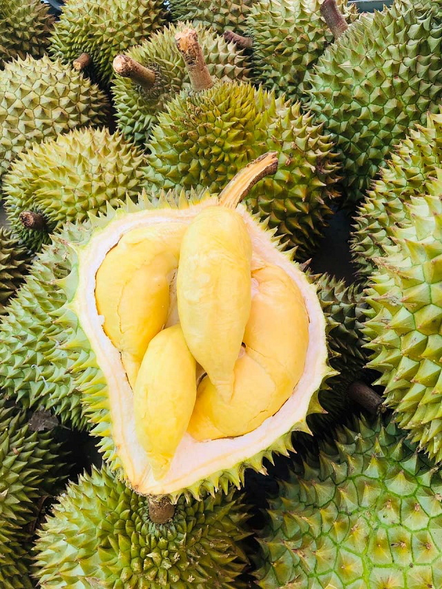 weird wonderful vietnamese dishes that shock foreign foodies
