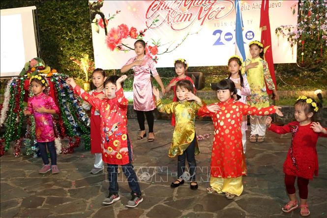 overseas vietnamese celebrate tet canh ty
