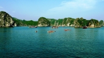 absorbing beautiful masterpieces of coral reefs in ganh yen quang ngai province