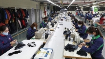 textiles firms launch emergency production of antibacterial masks
