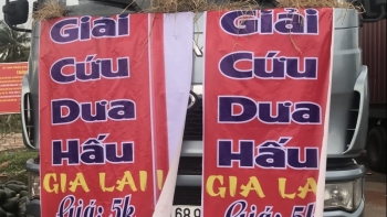 RoK enterprises launch campaign supporting Vietnamese fruit