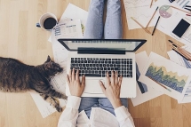 Pilot Program in Motion to Streamline Remote Work for HCM City's Civil Servants