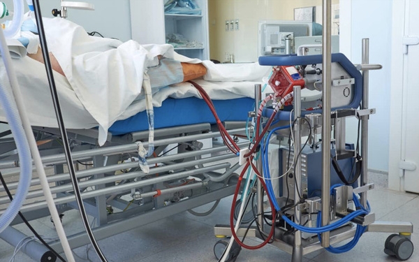 vietnam considers lung transplant for british covid 19 patient vnexpress international