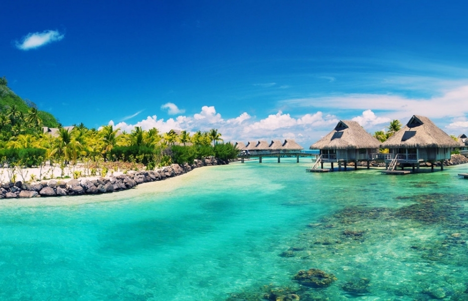 vietnam tourism is ready to recover after covid 19 outbreak view from national expert