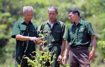 veteran leaves battlefield for success in farming fields