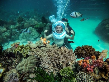Scuba diving -  'must try' experience in Phu Quoc island scuba diving must try experience in phu quoc island
