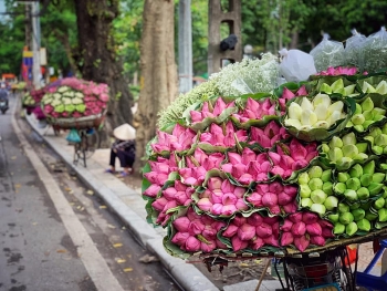 daily life in vietnam now is the dream of many countries around world deputy pm
